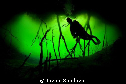 scuba diver siluet in cenote carwash entrance by Javier Sandoval 